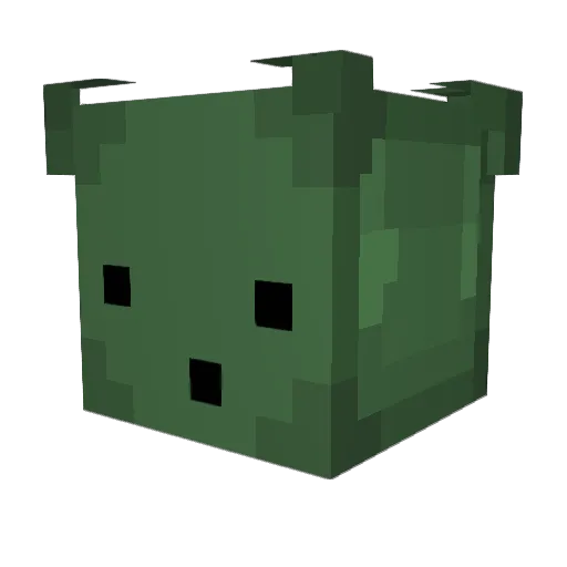 WatermelonDog Minecraft avatar head, 3D render