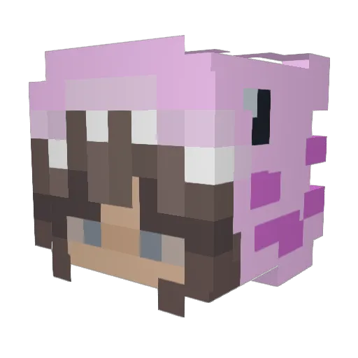 WatermelonPuff Minecraft avatar head, 3D render