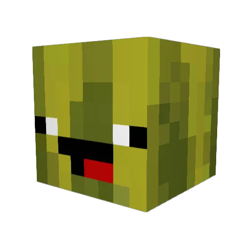 WatermelonSizzle Minecraft avatar head, 3D render