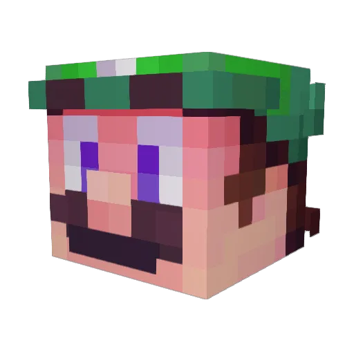 Watermelon_Dog Minecraft avatar head, 3D render