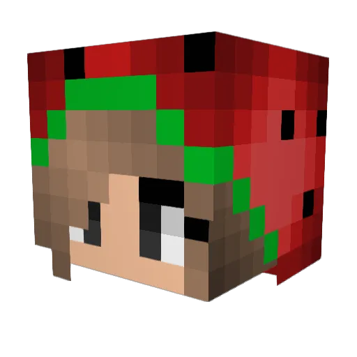 Watermelone06 Minecraft avatar head, 3D render