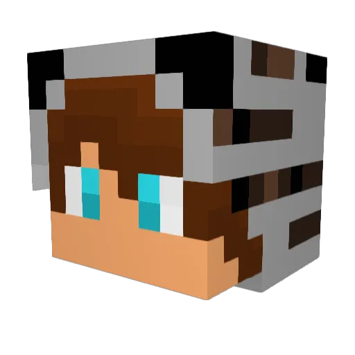 Watermelonmo Minecraft avatar head, 3D render