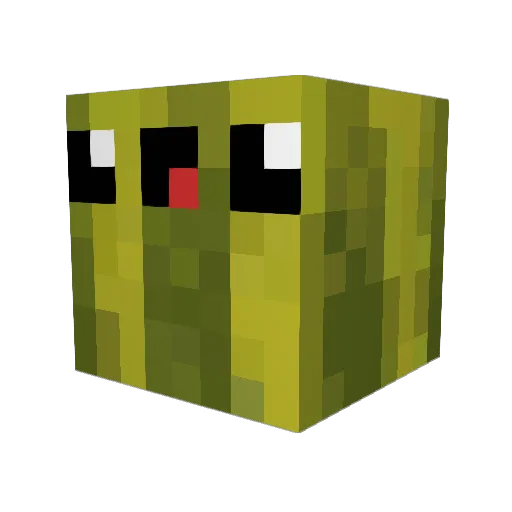 Watermelonnnnnn Minecraft avatar head, 3D render