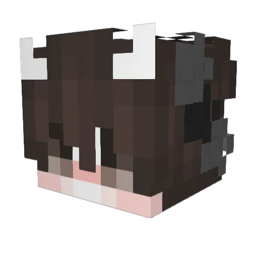 Waterov Minecraft avatar head, 3D render