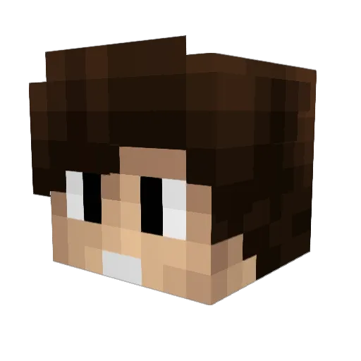 Waterpumpee Minecraft avatar head, 3D render