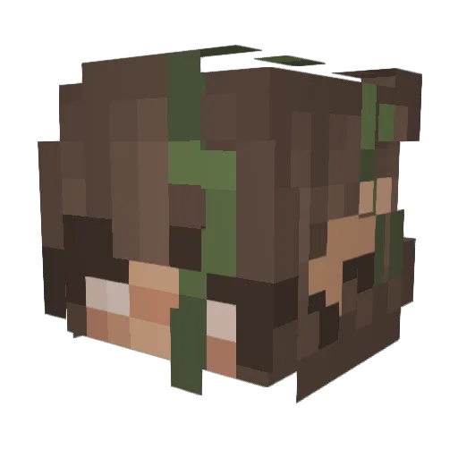 Waters24 Minecraft avatar head, 3D render