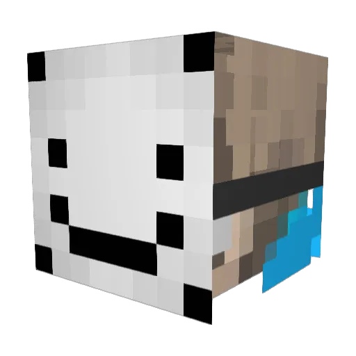 WaterstofCyanide Minecraft avatar head, 3D render