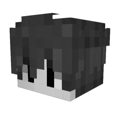 Watery_Liquid Minecraft avatar head, 3D render