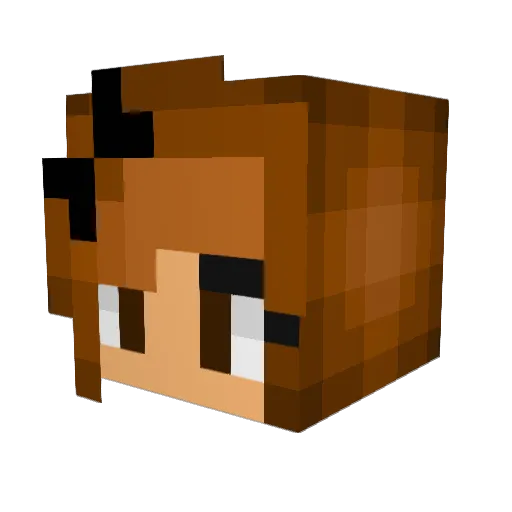 Wateversy Minecraft avatar head, 3D render