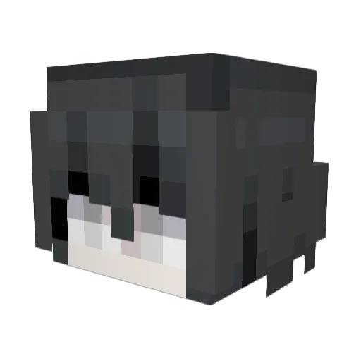 WathAyer Minecraft avatar head, 3D render