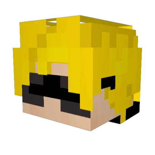 WatherGrass17 Minecraft avatar head, 3D render