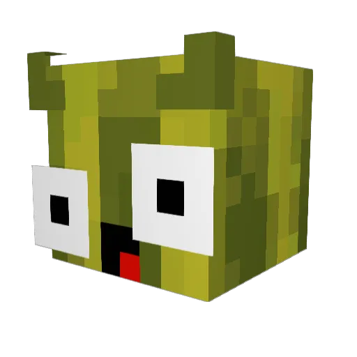 WatherMelon Minecraft avatar head, 3D render