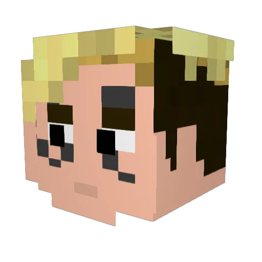 Watips Minecraft avatar head, 3D render