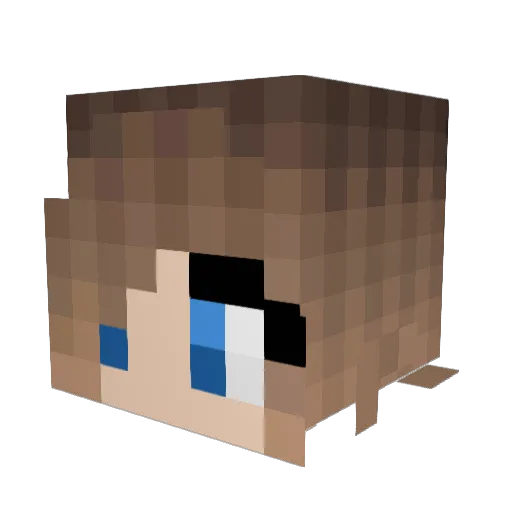 Watki Minecraft avatar head, 3D render
