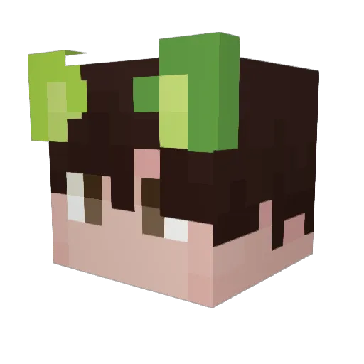 Wato1876 Minecraft avatar head, 3D render