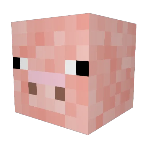 Watpoppin Minecraft avatar head, 3D render