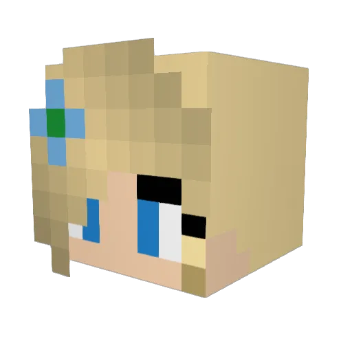 WatsonJ Minecraft avatar head, 3D render
