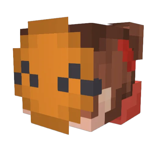WatsonTheCarrot Minecraft avatar head, 3D render