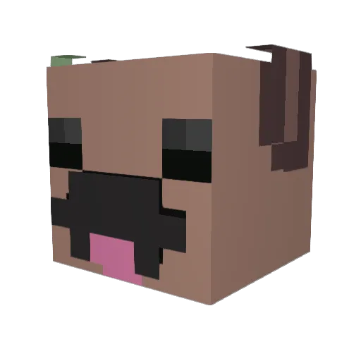 WatsonTheWizard Minecraft avatar head, 3D render