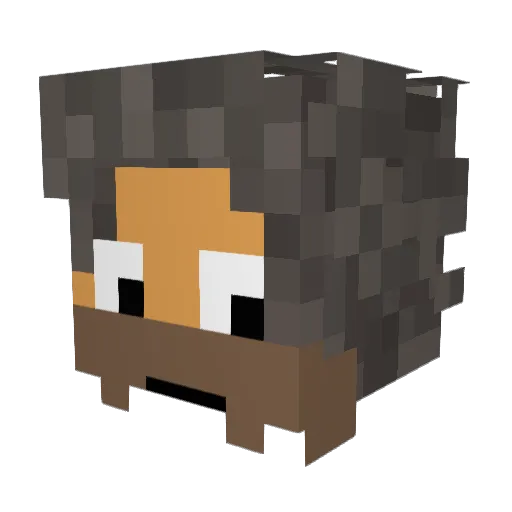WattsyJAW Minecraft avatar head, 3D render
