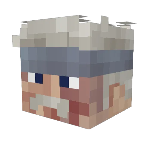 Watty_the_2nd Minecraft avatar head, 3D render