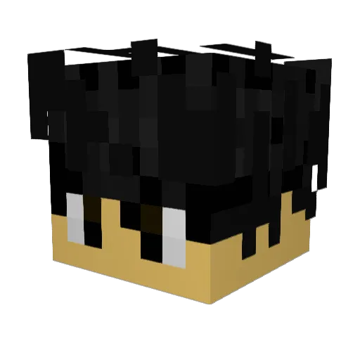 Wattyvilleh Minecraft avatar head, 3D render