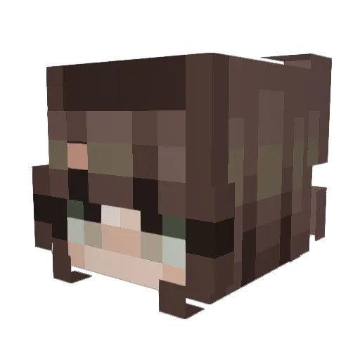 WatupitsC Minecraft avatar head, 3D render