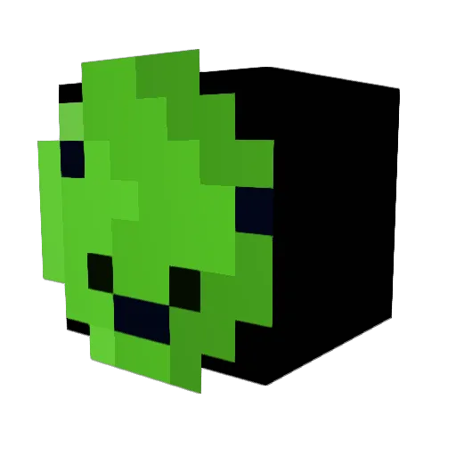Watxe09 Minecraft avatar head, 3D render