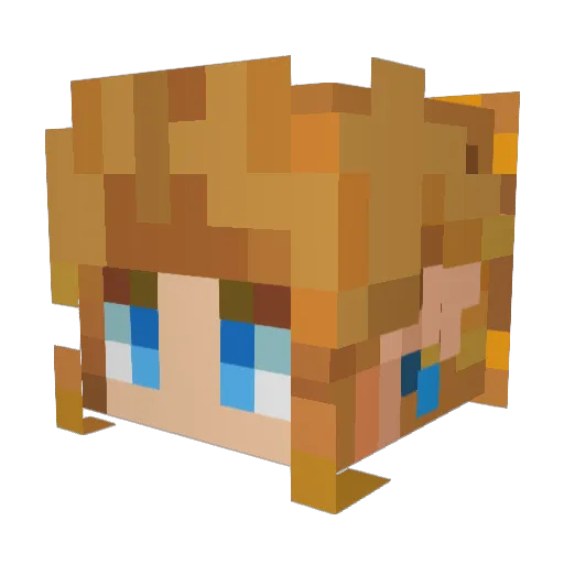 Waty16 Minecraft avatar head, 3D render