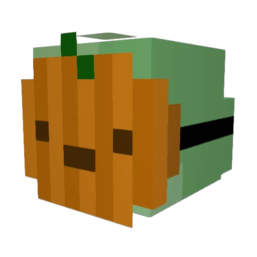 WauWau1234 Minecraft avatar head, 3D render