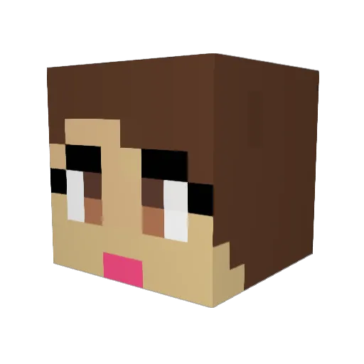 Waunder Minecraft avatar head, 3D render