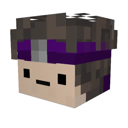 WaveByEarth Minecraft avatar head, 3D render