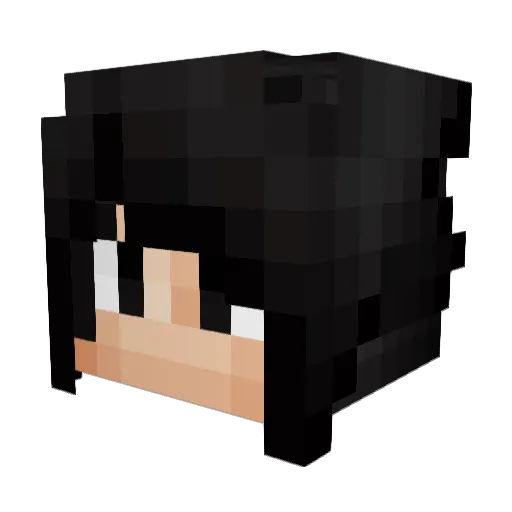 WaveIns Minecraft avatar head, 3D render