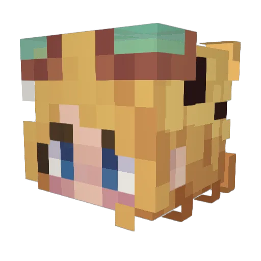 WaveNote Minecraft avatar head, 3D render