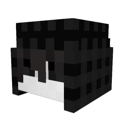 Wave__Ryze Minecraft avatar head, 3D render