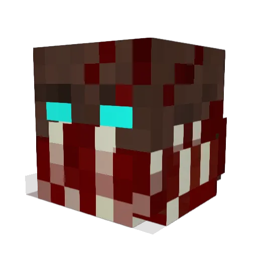 Waverider45 Minecraft avatar head, 3D render