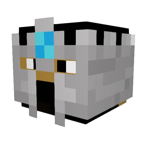Waverider9 Minecraft avatar head, 3D render