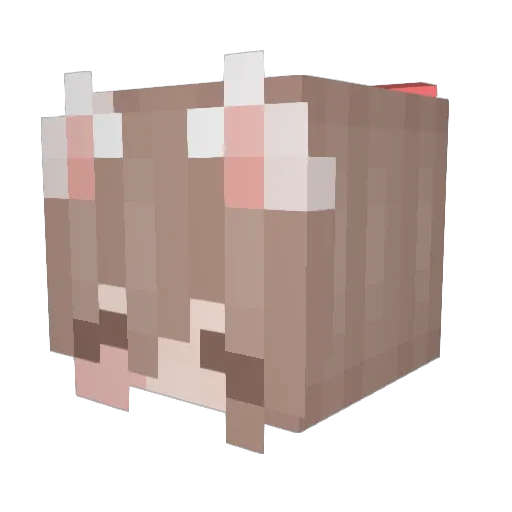 WaverlyPlayz Minecraft avatar head, 3D render