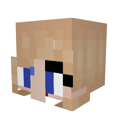 WavesHaught Minecraft avatar head, 3D render