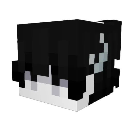 Wavesea Minecraft avatar head, 3D render