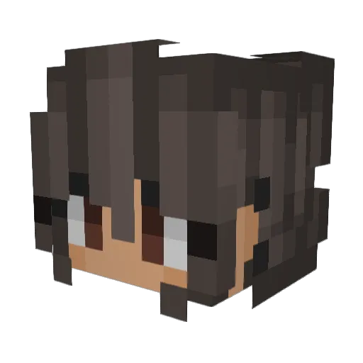 Wavesurfer Minecraft avatar head, 3D render