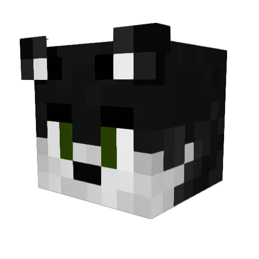 WaveyyDaveyy Minecraft avatar head, 3D render