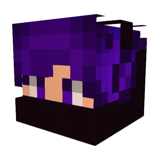 WavezzXD Minecraft avatar head, 3D render