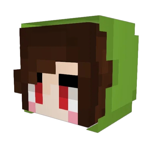 Wavingdub Minecraft avatar head, 3D render