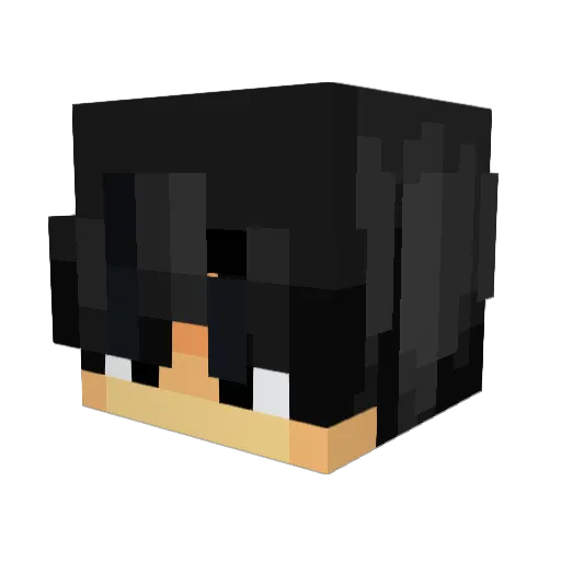 Wavlyn Minecraft avatar head, 3D render