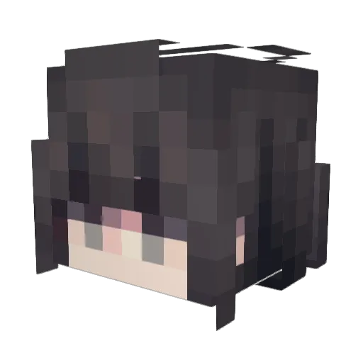 WavyMelones_ Minecraft avatar head, 3D render