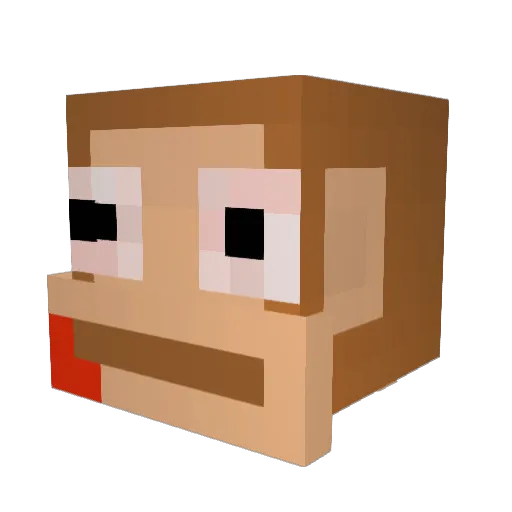 Wavy_Z Minecraft avatar head, 3D render