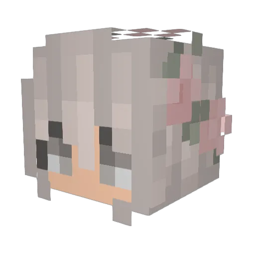 Wawa805 Minecraft avatar head, 3D render