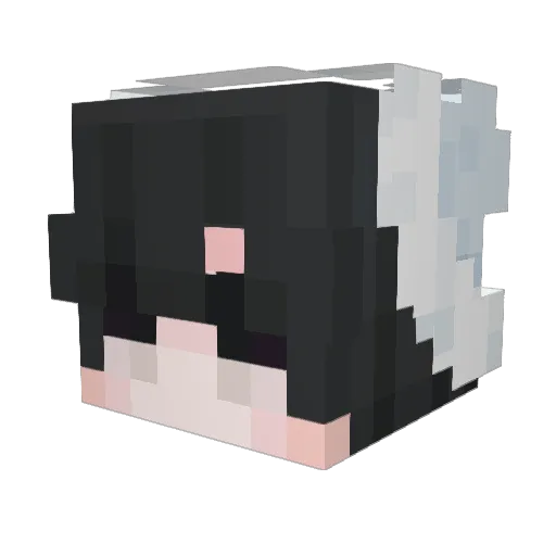 Wawa900T_ Minecraft avatar head, 3D render
