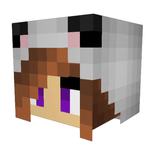 Wawalala Minecraft avatar head, 3D render